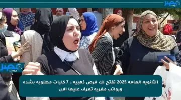 الثانوية العامة 2025 تفتح لك فرص ذهبية.. 7 كليات مطلوبة بشدة ورواتب مغرية تعرف عليها الآن